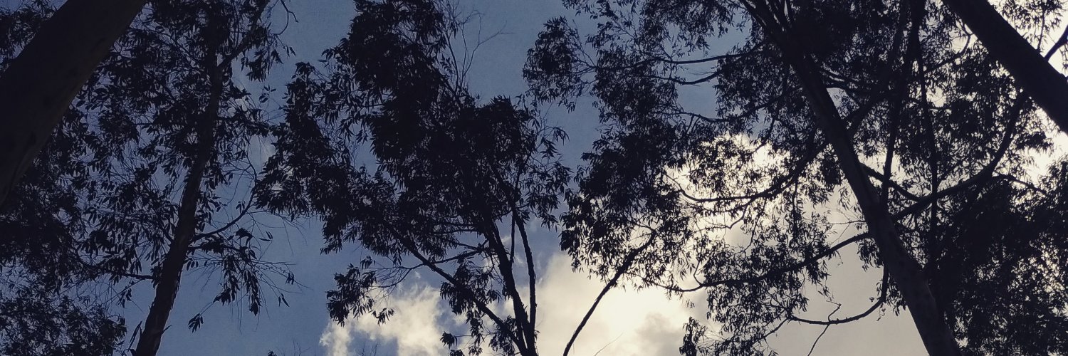 madebysatan's profile banner image