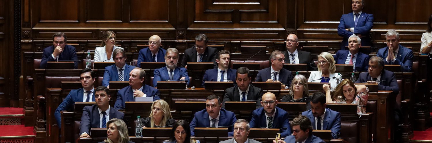 Fernanda Auersperg banner