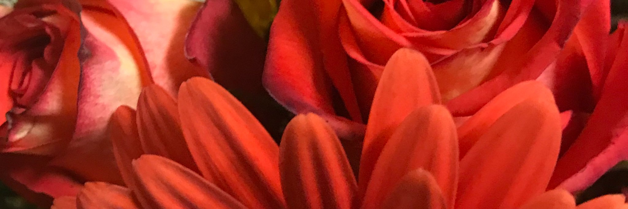 gorjessj_'s profile banner image