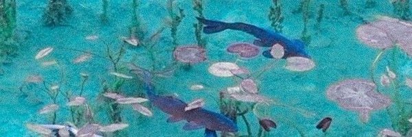 zadorye Profile Banner