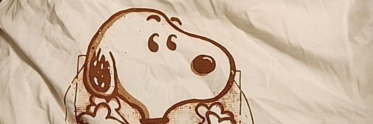 Aidan banner