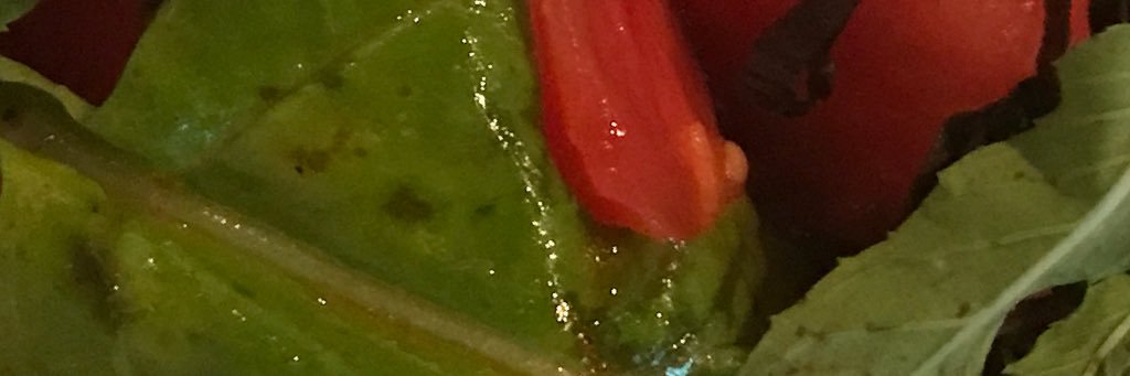 uppejs's profile banner image