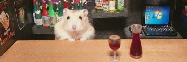 brontë bar wench banner