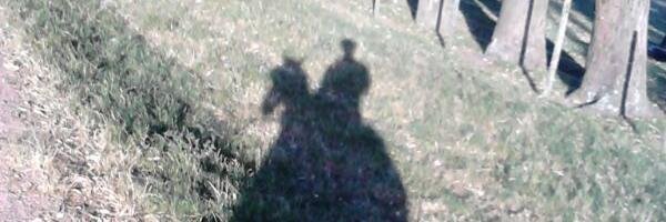 juanaapena's profile banner image