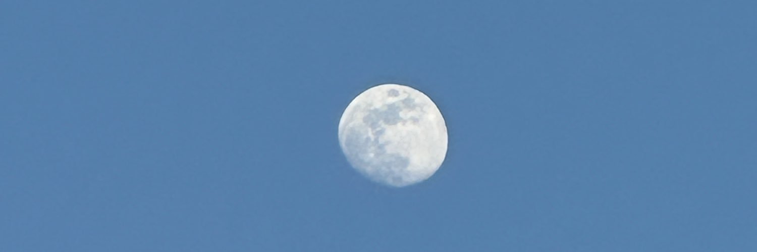 Cherry Velora banner