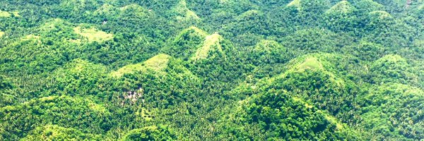 tobioliva Profile Banner