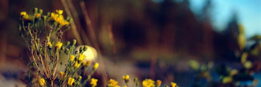 14lfarber's profile banner image