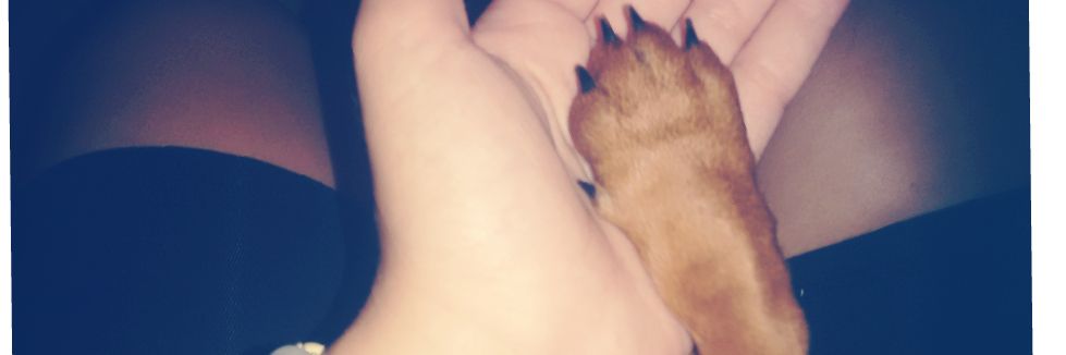 Miikaaa98's profile banner image