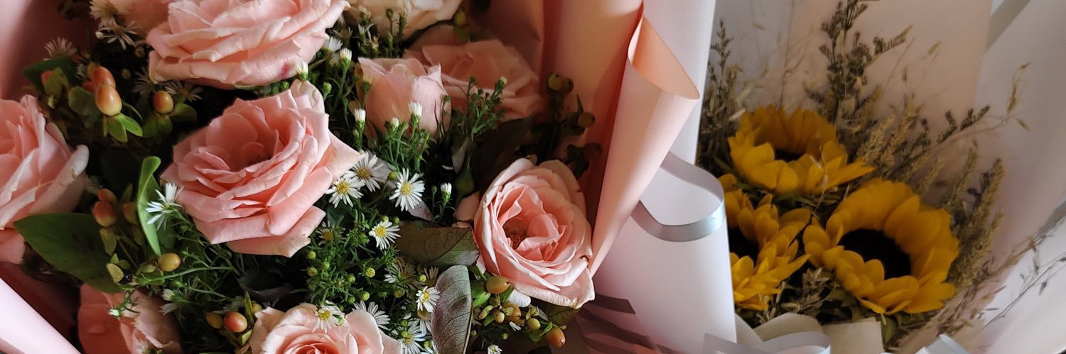 EllaineJan's profile banner image