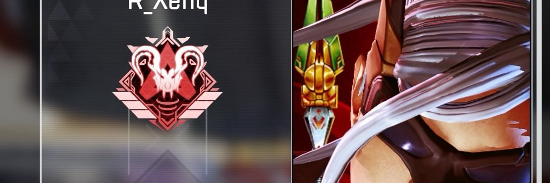 👾セナ👾VAWS banner