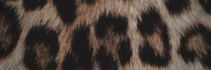 robinnmarie's profile banner image