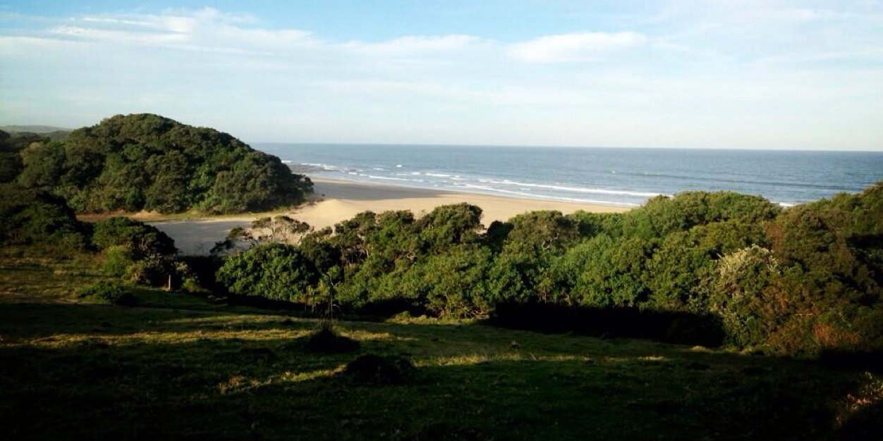 Russell Spring banner