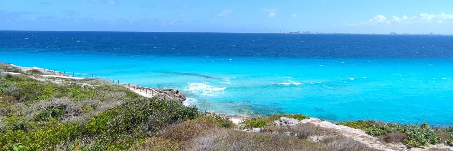 Eliana Bugner banner