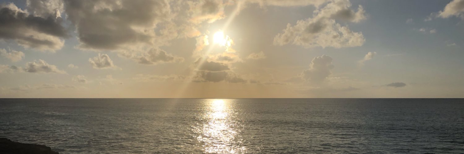 Kelly McCreary banner