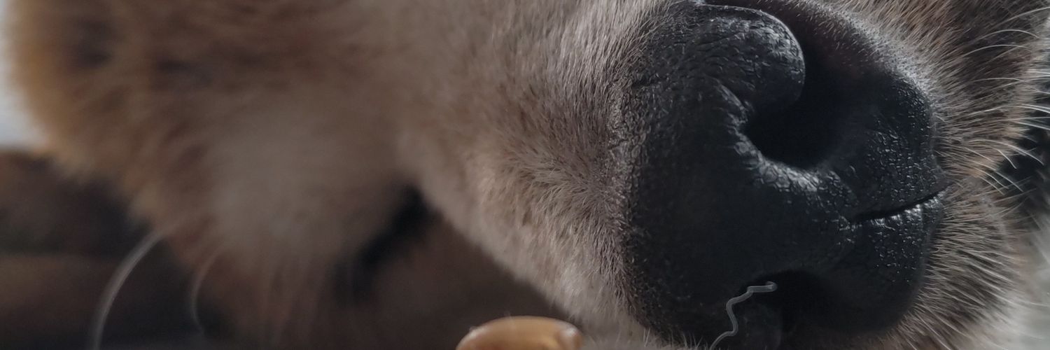 CNCrave's profile banner image