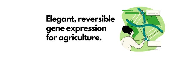 CDotBio Profile Banner