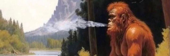 CombatSportTalks banner