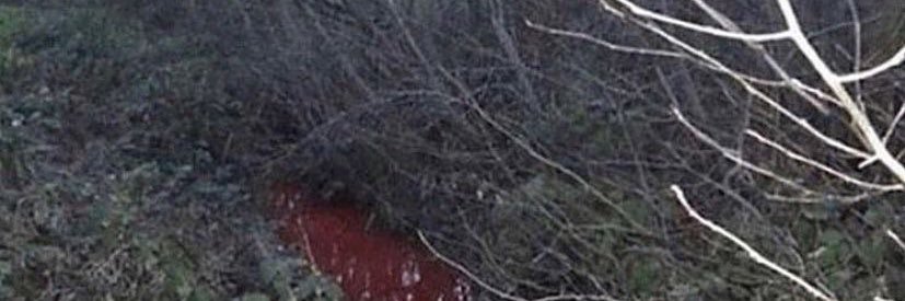 ViaNde banner