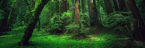 GroenHome Profile Banner