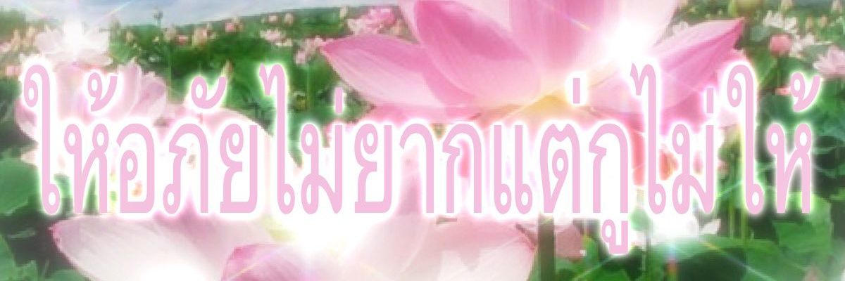 𐙚 dnt like pumpkin​ banner