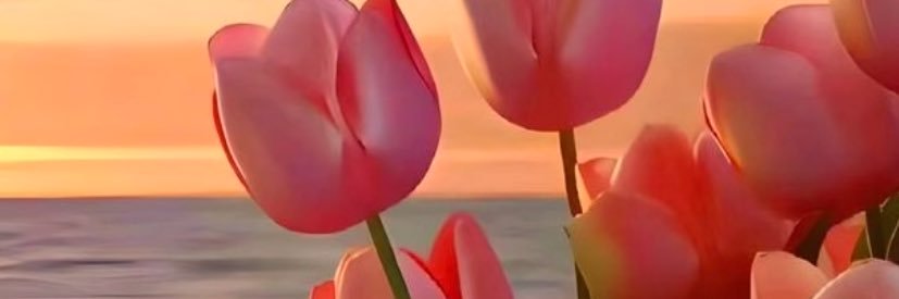 Mananda_v's profile banner image