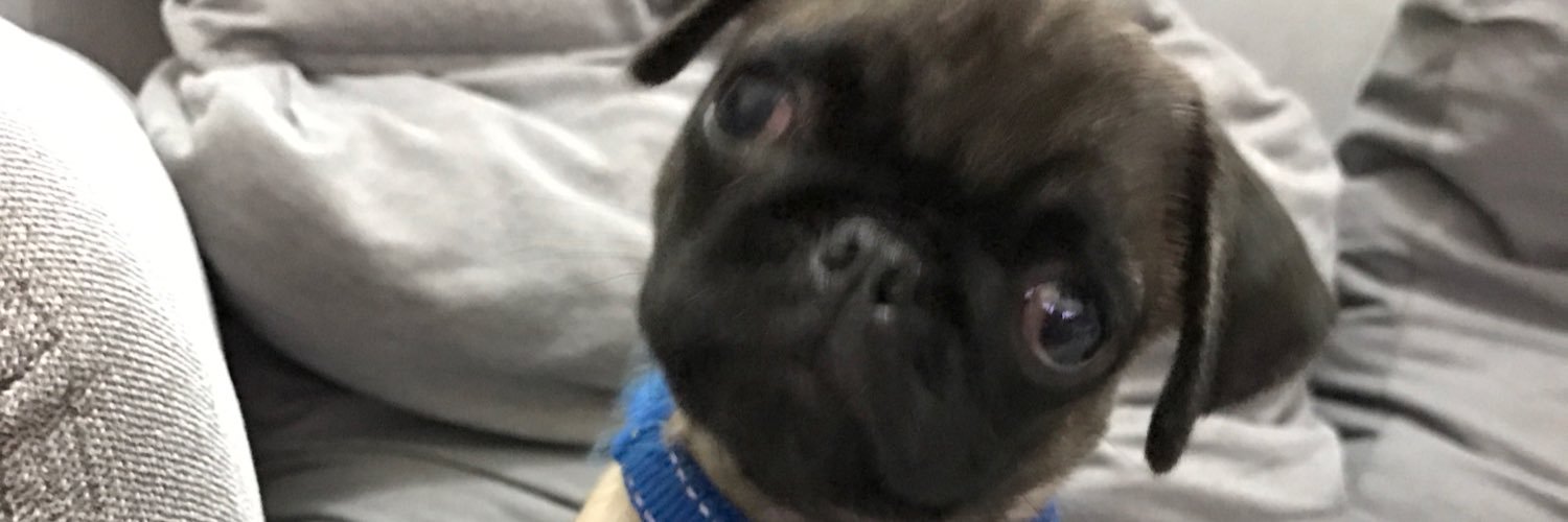 EricTambulero's profile banner image