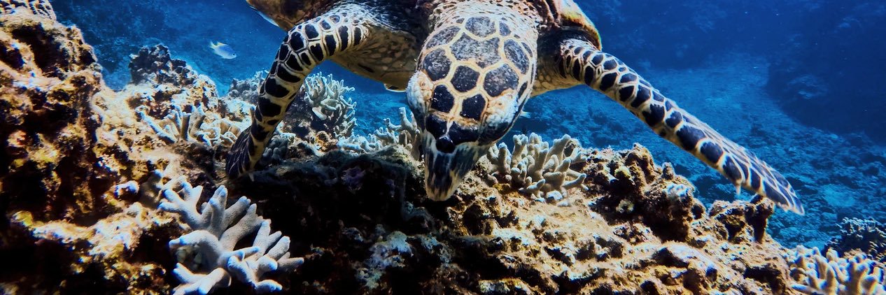 Dr. Matthew Ramirez banner