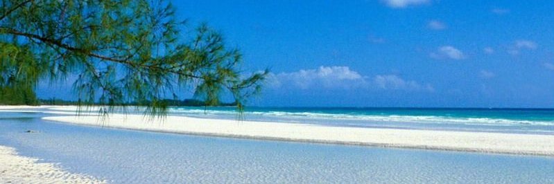 🌊Etoile de Mer🐳🐟's banner