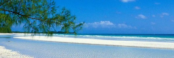 mer51222 Profile Banner