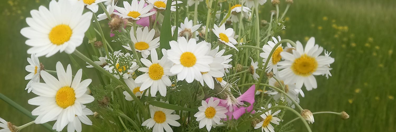 EnverTurke2391's profile banner image