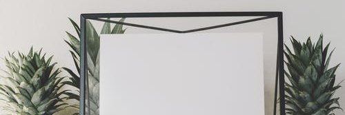 Woshimi banner