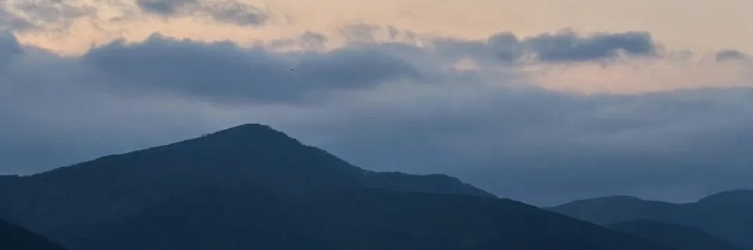 anco710's profile banner image