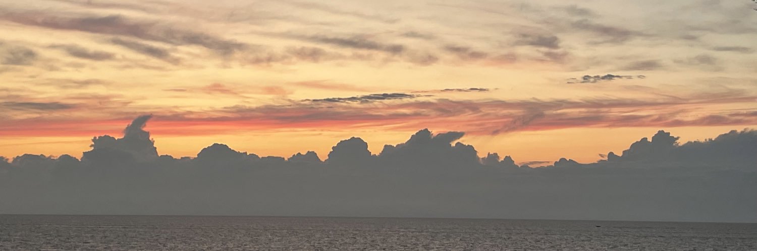 The Homeschooled Mom banner