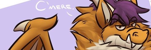 Ashton Wilson banner
