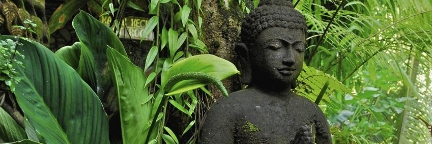 adigokhale's profile banner image