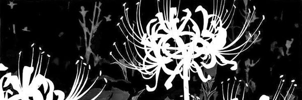 _milycoris Profile Banner