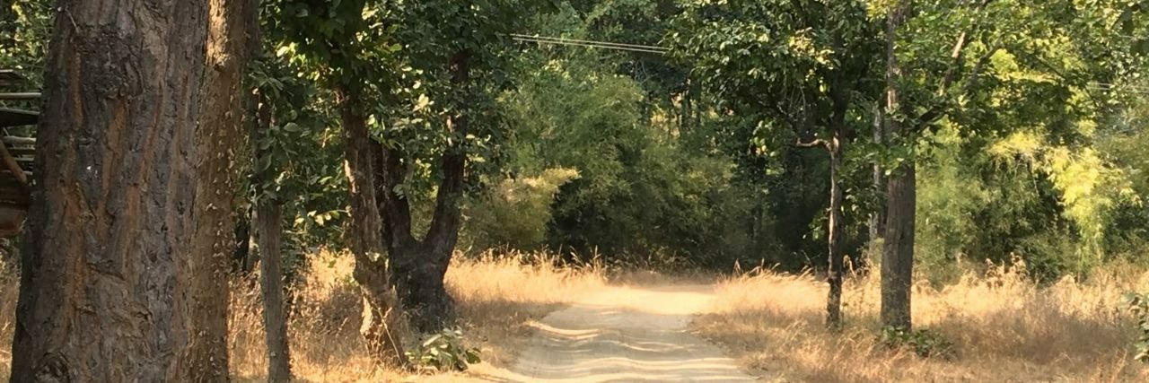 Milansachdeva's profile banner image