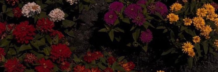 beamrrd's profile banner image