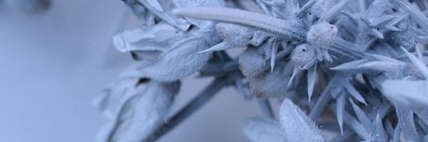 Yunizon_Co Profile Banner