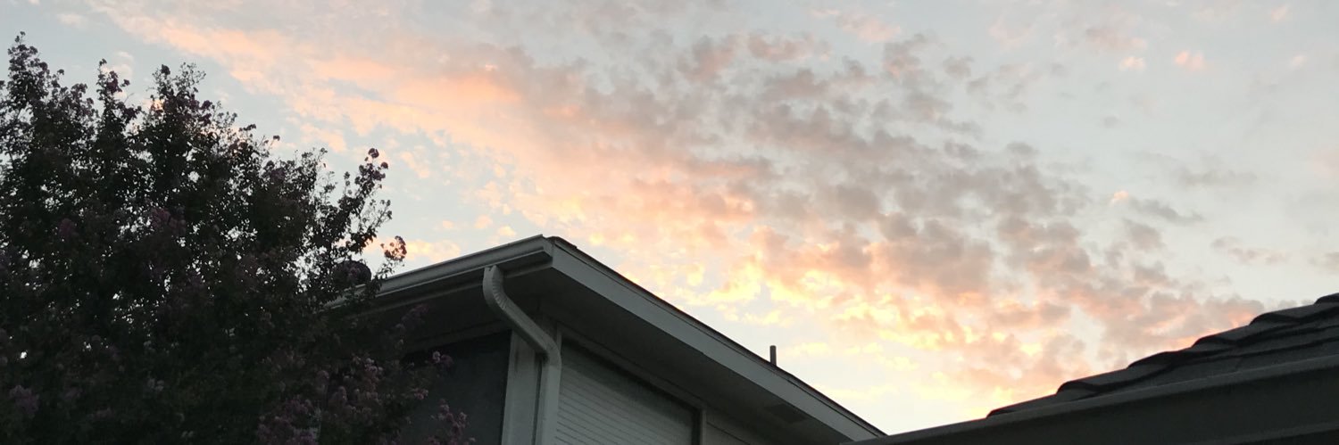 piperhadley_'s profile banner image