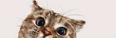 KellyMed97's profile banner image