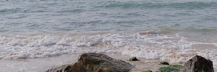 maejasmine's profile banner image