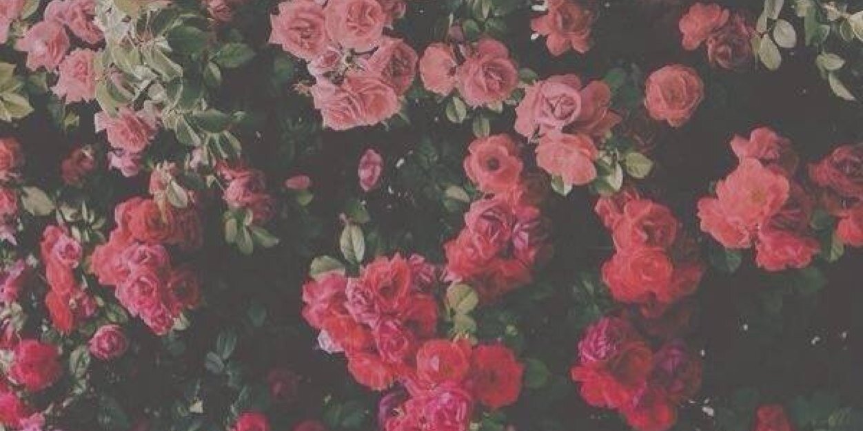 น้องเอง banner