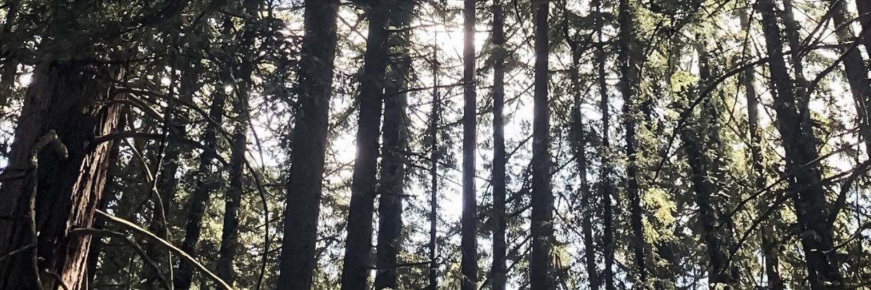 BellahGenelle's profile banner image