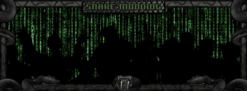 Christian Snake banner