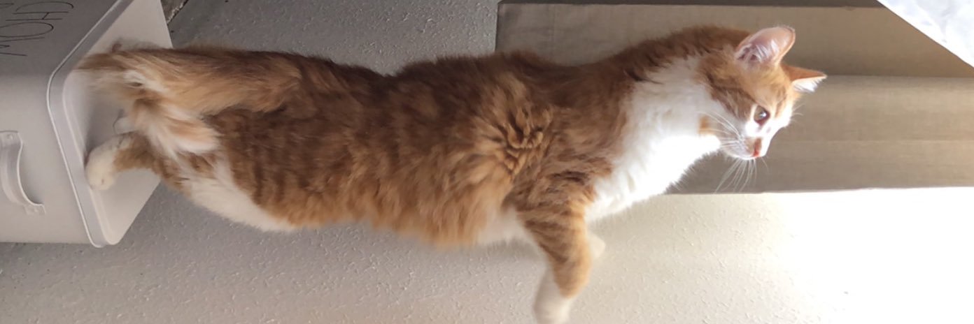 thomassuuu's profile banner image