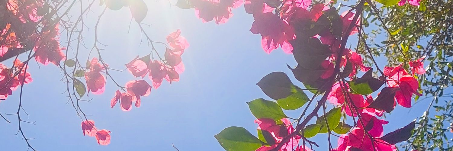 Sara_Raib's profile banner image