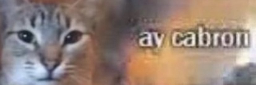 Void!!'s banner