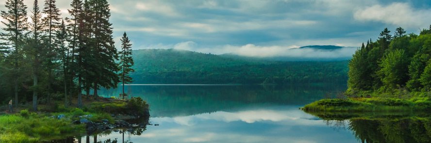 whichfish's profile banner image