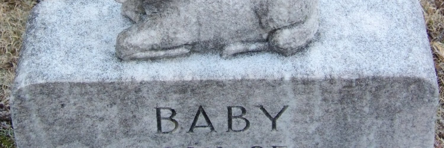 IM848Y's profile banner image